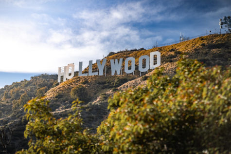 Nepotism: The Hollywood Employer