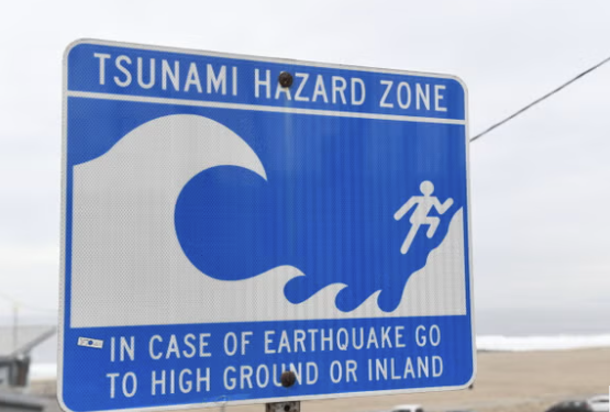 Scientists Reveal U.S. States Most at Risk of a Mega-Tsunami